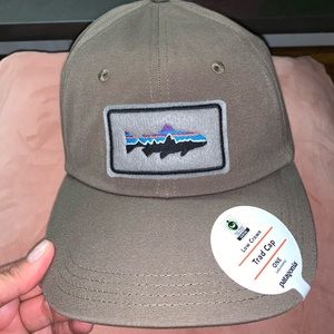 patagonia fitz roy trout patch trad cap